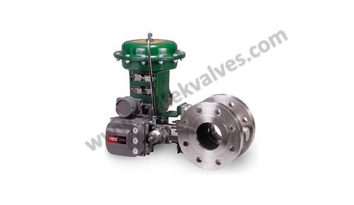 Control Valves