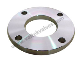 Plate Flange