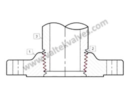 Plate Flange