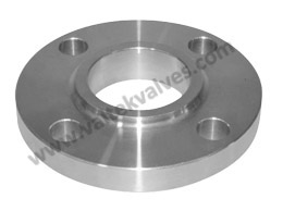 Slip On Flanges