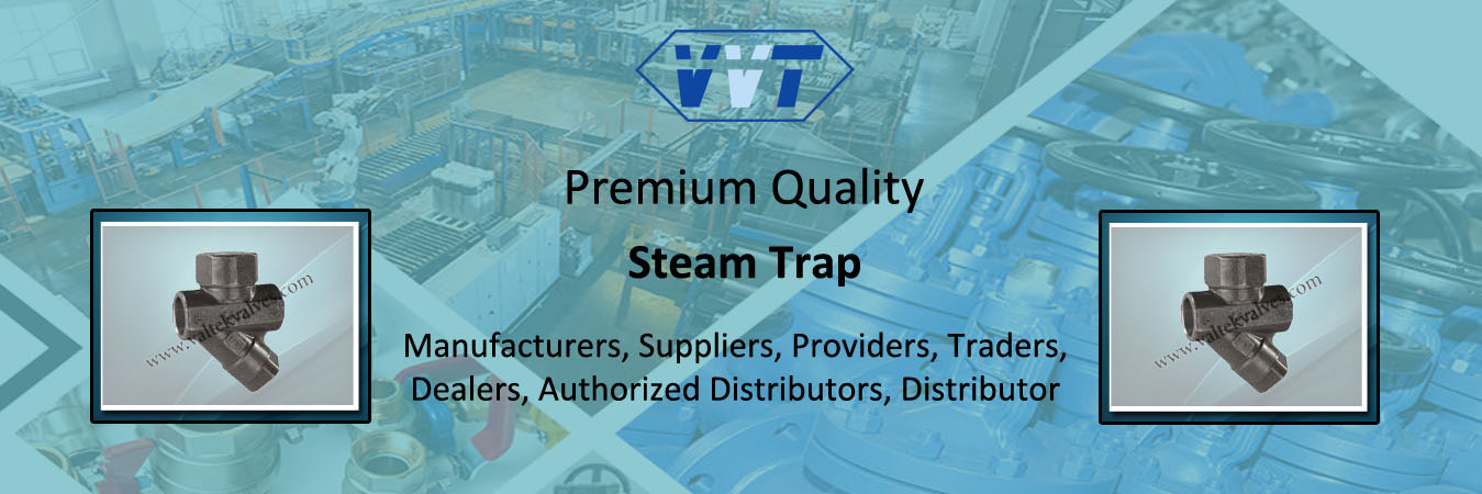 Steam Trap