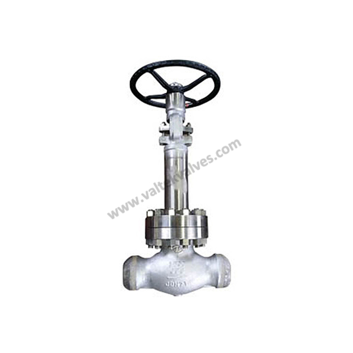 Bellows Sealed Gate Valves