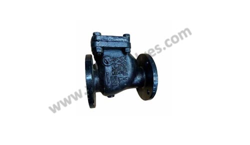 Cast Iron Swing Check Type Reflux Valves