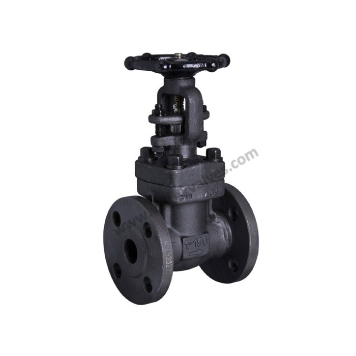 Forged Steel Gate Valves