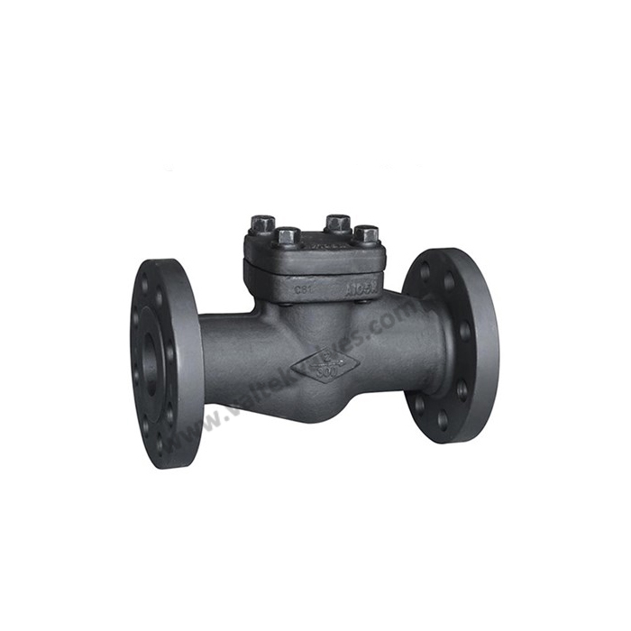 Forged Steel Check Valves