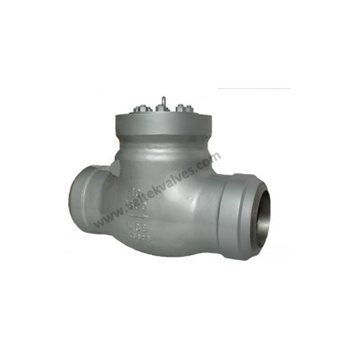 Pressure Sealed Check Valves