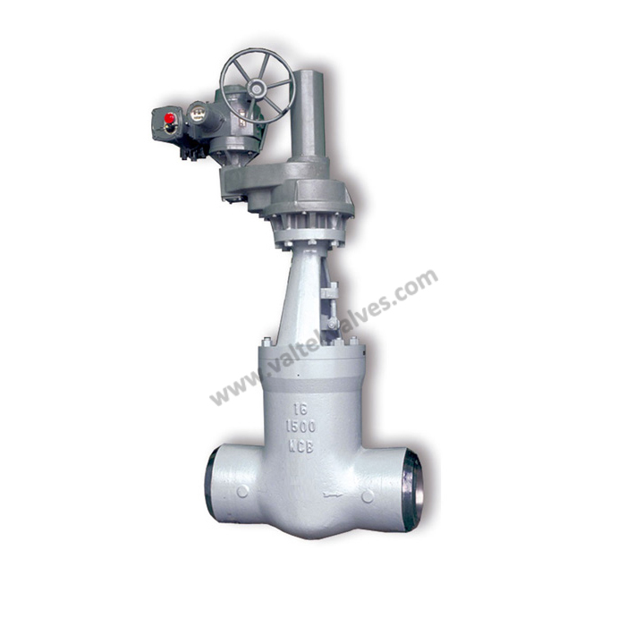 Pressure sealed Gate Valves