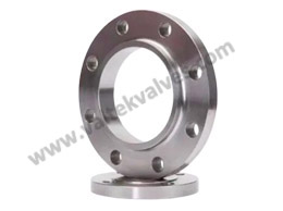 Stainless Steel Flange