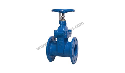 Sluice Valve(Rising/Non Rising)