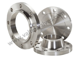 Stainless Steel Flange