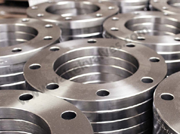 Stainless Steel Flange