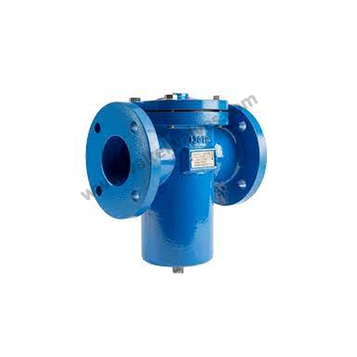 Strainer Valves