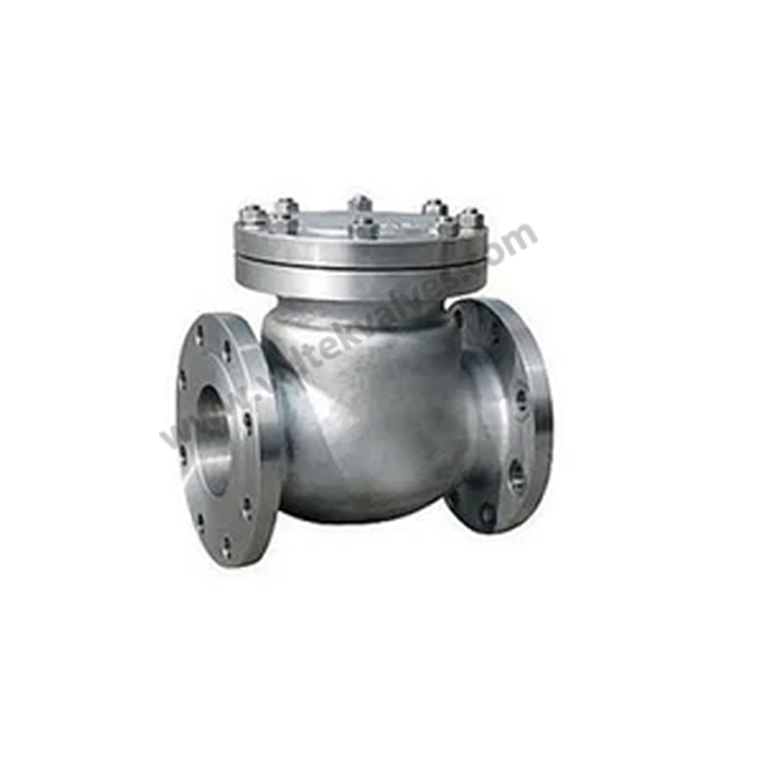 Swing Check Valves